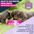 Eukanuba Premium Nutrition Puppy Small Breed au poulet