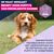Eukanuba Puppy Medium Breed Kip Hondenvoer