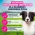 Eukanuba Premium Nutrition Puppy Medium Breed, kurczak