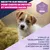 Eukanuba Premium Nutrition Puppy Small et Medium Breed Agneau et Riz