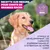 Eukanuba Premium Nutrition Puppy Large et Giant Breed agneau et riz