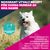 Eukanuba Premium Nutrition Adult Small Breed Chicken