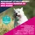 Eukanuba Premium Nutrition Adult Small Breed Chicken