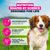 Eukanuba Premium Nutrition Adult Small & Medium Breed Lamb & Rice