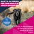 Eukanuba Premium Nutrition Mature Large & Giant Breed Pollo