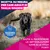 Eukanuba Premium Nutrition Mature Large & Giant Breed Pollo