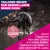 Eukanuba Premium Nutrition Senior Large & Giant Breed Chicken
