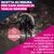 Eukanuba Premium Nutrition Senior Large & Giant Breed Pollo