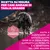 Eukanuba Premium Nutrition Senior Large & Giant Breed Pollo