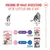 Royal Canin Sterilised Kitten in Saus