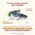 Almo Nature HFC Adult Highly Appetizing Salmone fresco