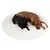 Twee middelgrote honden liggen samen op een grote, ronde, witte pluche hondenmand.