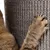 Animal paw using a textured scratching post, showing claws extended on the woven surface.