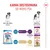 Zalecenia żywieniowe: Royal Canin Junior Giant dla psów od 8 do 18/24 miesięcy, następnie przejście na XL Giant Adult lub Great Dane od 18/24 miesięcy. Zalecenia żywieniowe: Royal Canin Junior Giant dla psów od 8 do 18/24 miesięcy, następnie przejście na XL Giant Adult lub Great Dane od 18/24 miesięcy.