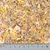 Close-up of bird food mix with various seeds and grains. Centimetre scale at the bottom shows size comparison.