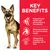 Teksti englanniksi: Key benefits. Supports joint health with glucosamine & chondroitin, balanced minerals for heart & kidney health, omega-6s & vitamin E for beautiful skin & coat.