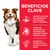 Beneficios clave: cordero y arroz de alta calidad para digestión ligera, minerales equilibrados para salud cardíaca y renal, omega-6 y vitamina E para piel y pelo sanos.