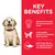 Key benefits: balanced minerals for strong bones and teeth, high-quality protein for building lean muscles, DHA from fish oil for healthy brain and eye development.