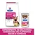 Hill's Prescription Diet Gastrointestinal Biome para cães, embalagem de ração seca e lata de alimento húmido. Texto: Experimente as deliciosas variedades de alimentos secos e húmidos.