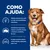 Texto: Como ajuda. Melhora visivelmente a pele em cães com sensibilidades alimentares. Nutrição que demonstrou reduzir a comichão noturna e melhorar o sono. Protege a barreira cutânea. Texto: Como ajuda. Melhora visivelmente a pele em cães com sensibilidades alimentares. Nutrição que demonstrou reduzir a comichão noturna e melhorar o sono. Protege a barreira cutânea.