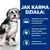 JAK KARMA DZIAŁA: Opracowana, by zachęcać do jedzenia już od pierwszego kęsa. Optymalne odżywianie bogate w kalorie, poprawiające codzienną aktywność psa. Opracowana, by poprawiać jakość stolca.