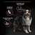 Chien avec trois encadrés : formulé sans blé, favorise une peau saine, pour un pelage brillant. Textes et pictogrammes visibles sur fond noir.