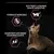 Formulé sans blé, soutient la bonne santé digestive et maintient des reins en bonne santé, illustré par un chat et trois pictogrammes explicatifs.