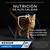 Nutrición de alta calidad para gatos senior. Con LONGEVIS para una vida más larga y saludable. Texto adicional sobre estudio con gatos de 7–17 años. Marca: LONGEVIS.