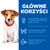 Hill's Science Plan Puppy Small & Mini, jagnięcina i ryż