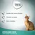 Concept for Life. Soutien des voies urinaires, contrôle du poids, sans céréales. STERILISED CATS, chats stérilisés à partir de 1 an. Chat assis à droite.