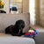 Warner Bros™ DC Gioco per cani Superman