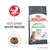 Digestive product image showing 'Helps support healthy digestion' and '95% healthy stool quality in 10 days' with a kibble piece and a cat beside the packaging. Digestive product image showing 'Helps support healthy digestion' and '95% healthy stool quality in 10 days' with a kibble piece and a cat beside the packaging.