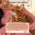 Customer review: Cat loves the tuna pouches and dry food, does not accept any other brand. Customer service is rated as excellent. Trustpilot 5 stars.