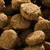 Primer plano de croquetas de pienso seco marrones, redondas y de textura granulada.