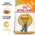 ROYAL CANIN ADULT British Shorthair, crocchetta su misura, tono muscolare, Top Seller. Immagine di confezione con gatto grigio e dettagli visibili sul prodotto.