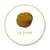 Single kibble piece with approximate diameter of 9 millimetres shown.
