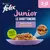 Purina Felix Junior Le Ghiottonerie, selezione mista in gelatina per gatti 2–12 mesi, senza coloranti. Immagine di cibo su piatto viola.