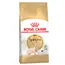 Royal Canin Sphynx Adult - Kattenvoer - Dubbelpak: 2 x 2 kg