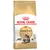 Royal Canin Adult Maine Coon cat food, specially for Maine Coon cats. Packaging shows a Maine Coon cat and indicates joint support.