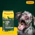 Josera Young Star Junior Aufzuchtfutter mit Geflügel und Kartoffel, getreidefrei, 12,5 kg. German Quality. Super Premium Petfood.