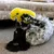 Dog lying on carpet playing with a yellow plush toy, demonstrating product use for interactive pet play.