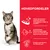 Hill's Science Plan Adult Oral Care kylling