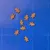 Pooch & Mutt Gingerbread Festive Advent Calendar - 1 Advent Calendar Pooch & Mutt Gingerbread Festive Advent Calendar - 1 Advent Calendar