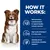 How it works: contains bioactives and phytonutrients for immune support, high levels of Omega-3 and -6 fatty acids, and clinically proven antioxidants including vitamin E.