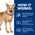 How it works: highly digestible formula for nutrient absorption, unique prebiotic blend for gut bacteria, high in electrolytes and B vitamins, clinically proven antioxidants.
