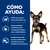 Texto: Cómo ayuda. El 96% de los perros perdió peso desde casa. Ayuda a mantener la pérdida de peso y proporciona energía para la actividad diaria. Pérdida de peso fácil: los perros pierden peso sin reducir en exceso el tamaño de las porciones.