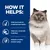 How it helps: burns body fat and maintains lean muscle, helps your cat feel full and satisfied, supports a healthy immune system. Image of a cat beside the text.