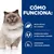 Texto: Cómo funciona. Niveles eficaces de L-carnitina. Combinación óptima de fibra soluble e insoluble. Antioxidantes clínicamente probados. Imagen de un gato junto al texto.