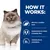 How it works: effective L-carnitine levels, optimal blend of soluble and insoluble fibre, clinically proven antioxidants.