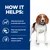 Informational image listing benefits: helps burn body fat and maintain lean muscle, helps your dog feel full and satisfied, supports a healthy immune system.